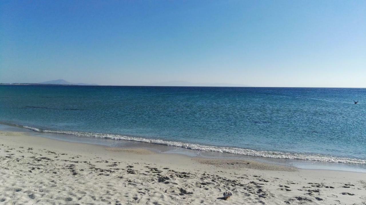 Naxos Is The Way Apartment Kastraki  Ngoại thất bức ảnh