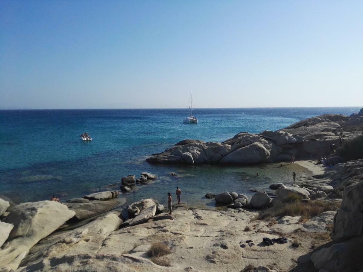 Naxos Is The Way Apartment Kastraki  Ngoại thất bức ảnh
